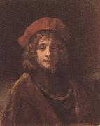 REMBRANDT Harmenszoon van Rijn Portrait of Titus (mk33) oil painting artist